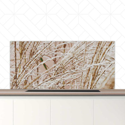 Spatscherm - Droge rietstengels