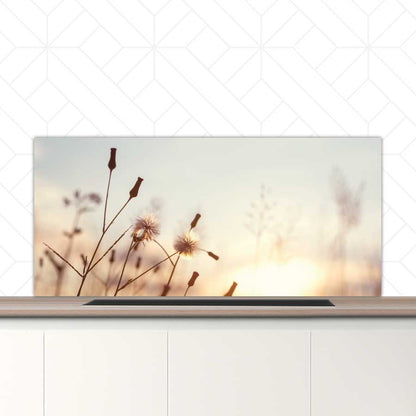 Spatscherm - Dandelion zonsondergang