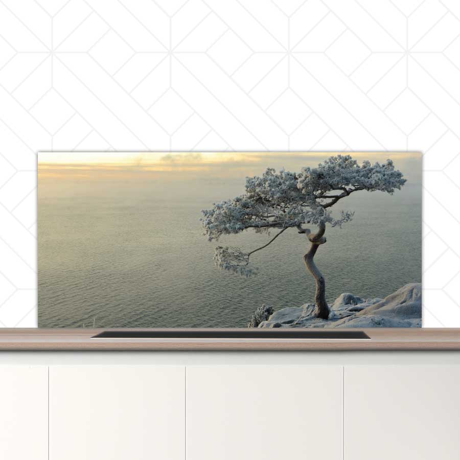 Spatscherm - Winterboom