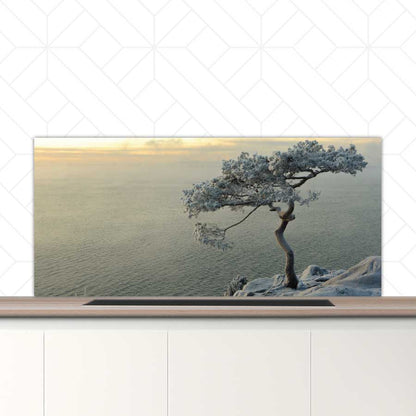 Spatscherm - Winterboom