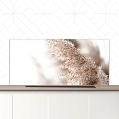 Spatscherm - Pampas gras