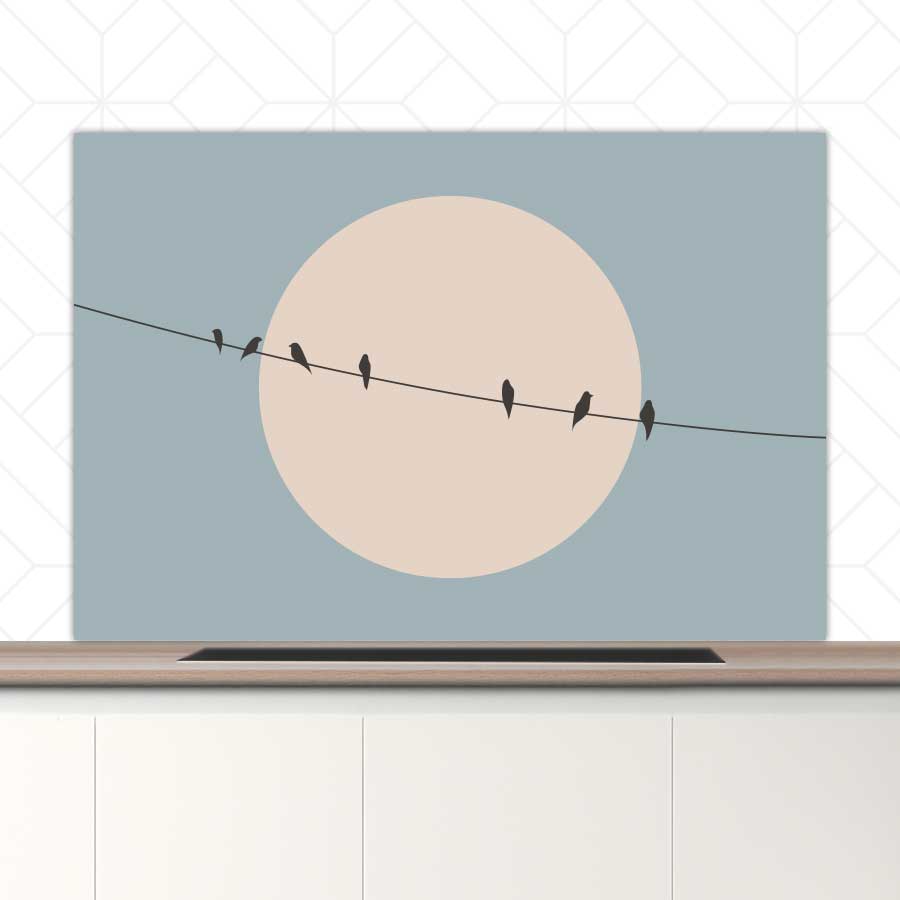 Spatscherm - Vogels op een draad