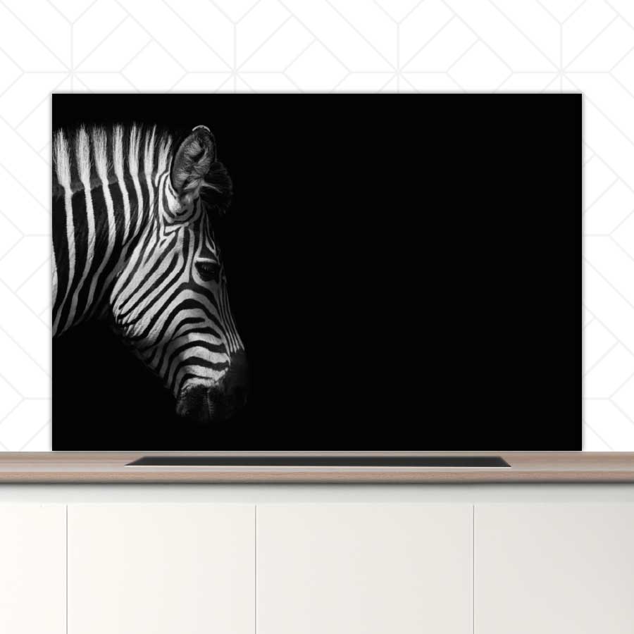 Spatscherm - Zebra
