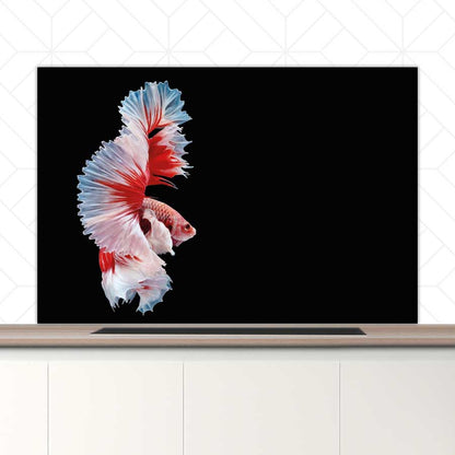 Spatscherm - Betta vis