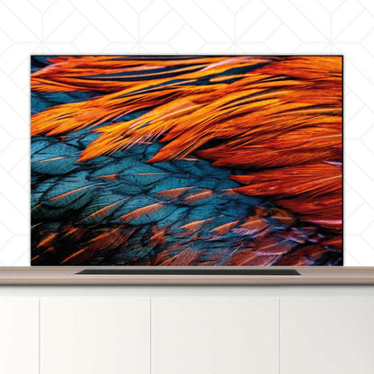 Spatscherm - Hanenveer