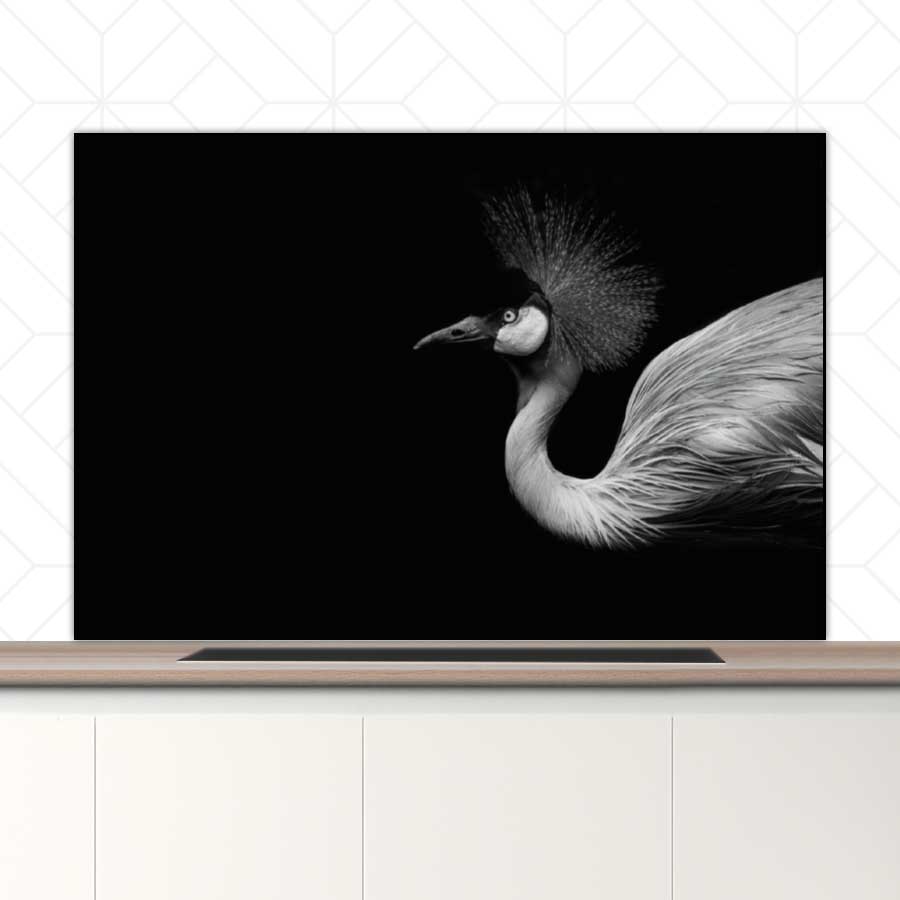 Spatscherm - Kraanvogel