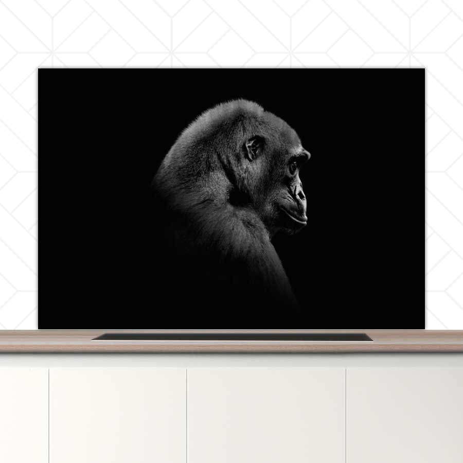 Spatscherm - Gorilla
