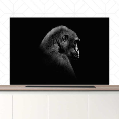 Spatscherm - Gorilla