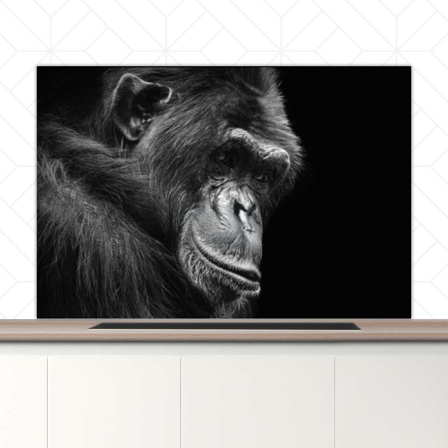 Spatscherm - Chimpansee
