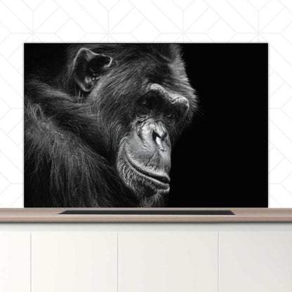 Spatscherm - Chimpansee