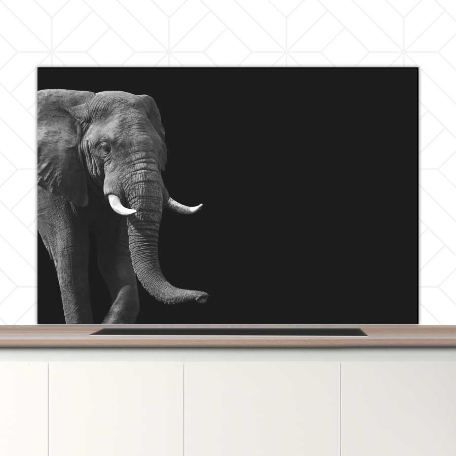 Spatscherm - Afrikaanse olifant