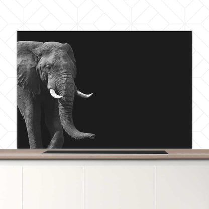 Spatscherm - Afrikaanse olifant