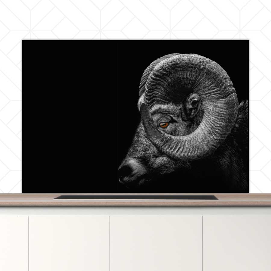 Spatscherm - Ram