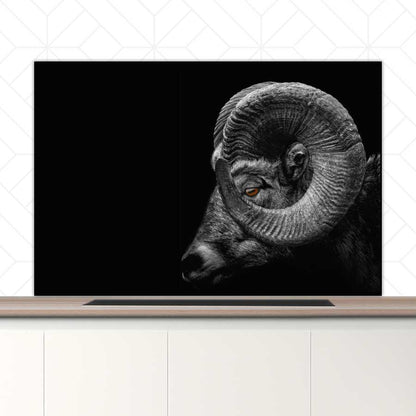 Spatscherm - Ram