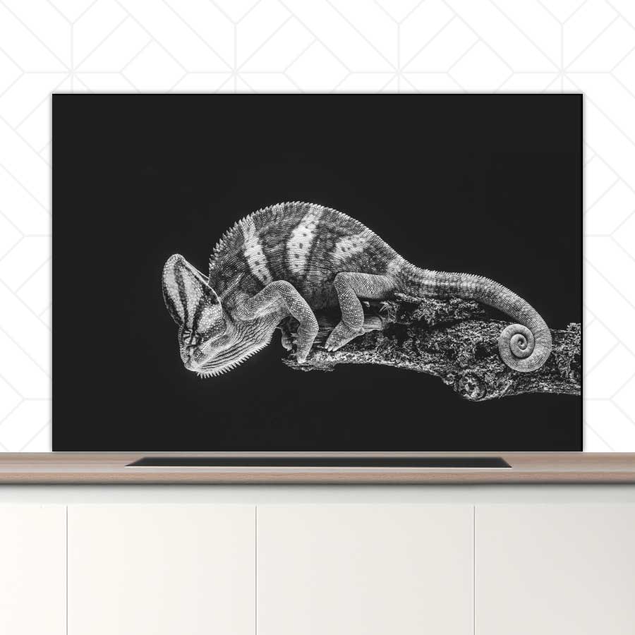 Spatscherm - Kameleon