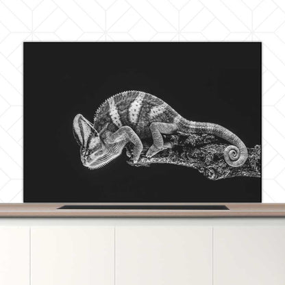 Spatscherm - Kameleon