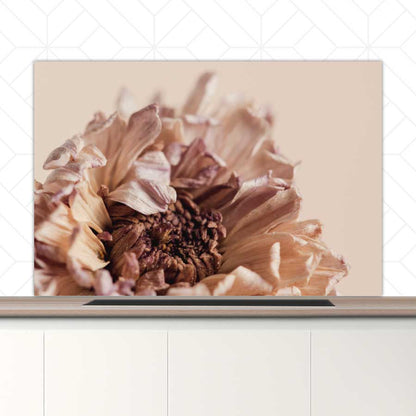 Spatscherm - Gedroogde chrysant