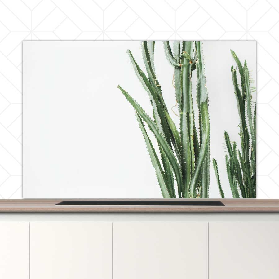 Spatscherm - Cactus