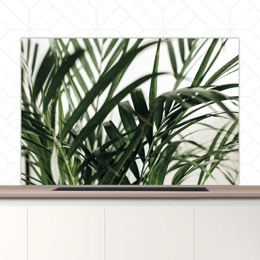 Spatscherm - Palm bladeren