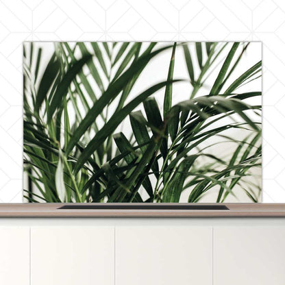 Spatscherm - Palm bladeren