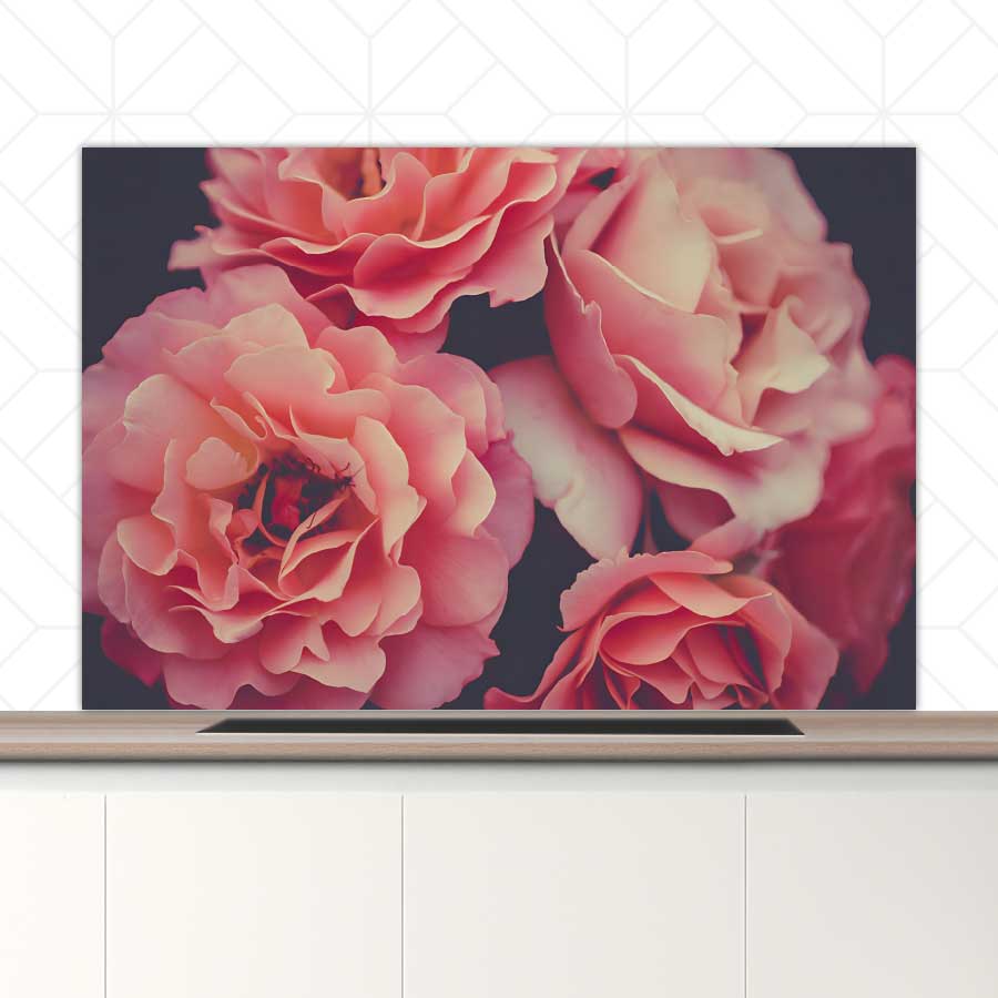 Spatscherm - Rozen close-up