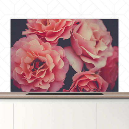 Spatscherm - Rozen close-up