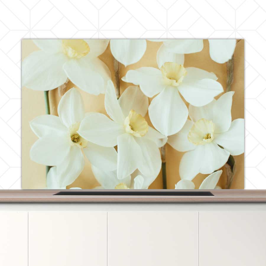 Spatscherm - Narcissen