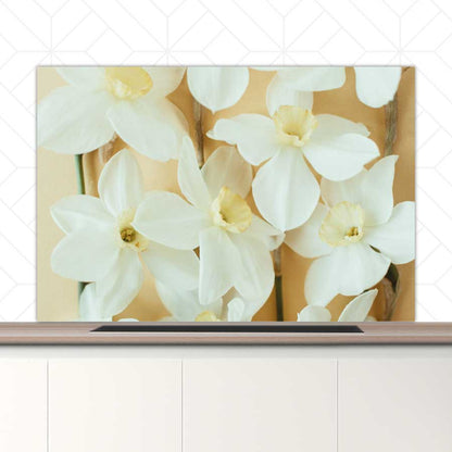 Spatscherm - Narcissen