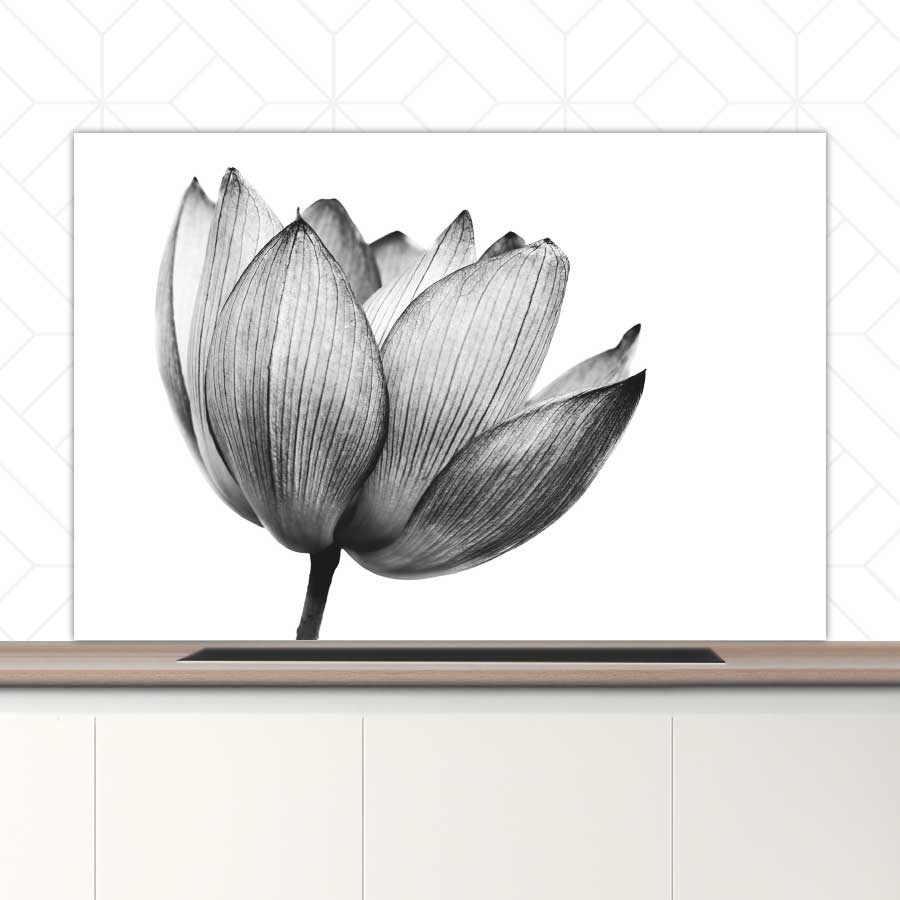 Spatscherm - Lotus in zwart-wit