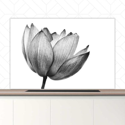 Spatscherm - Lotus in zwart-wit