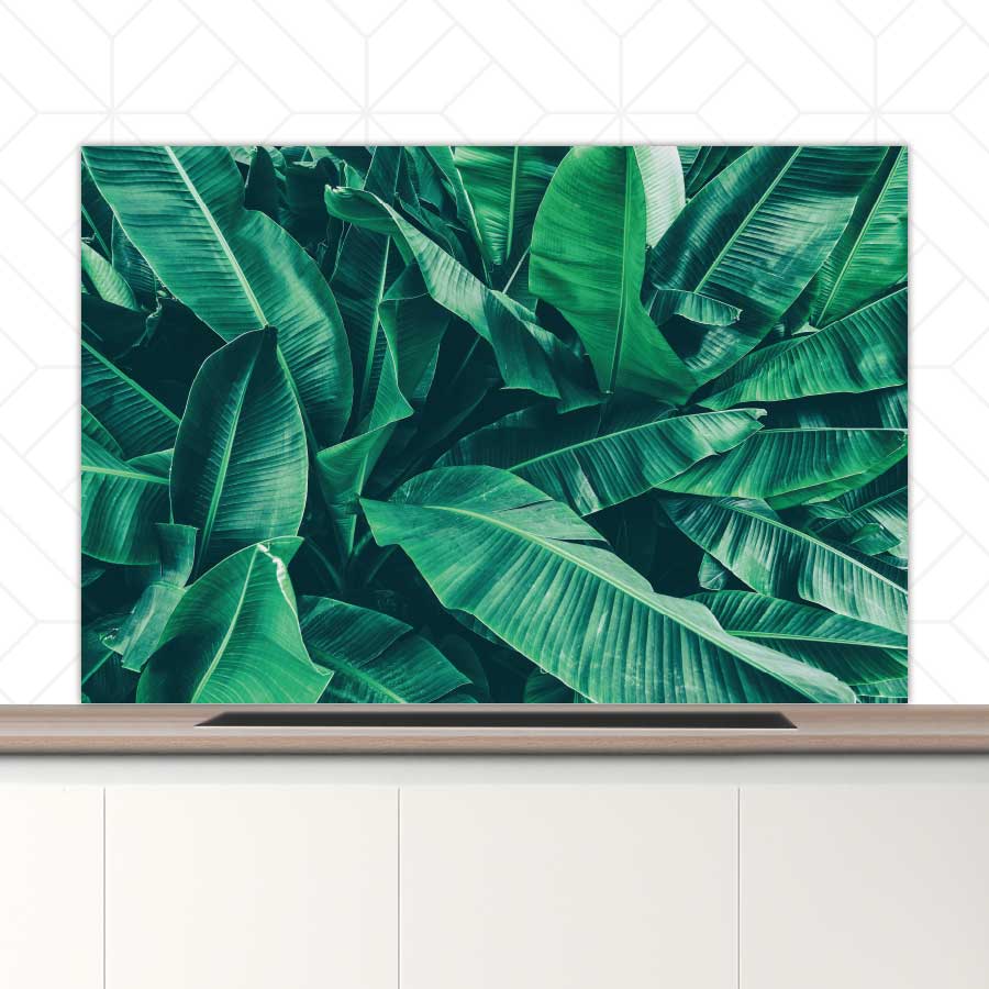 Spatscherm - Tropische bladeren