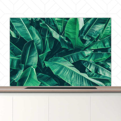 Spatscherm - Tropische bladeren
