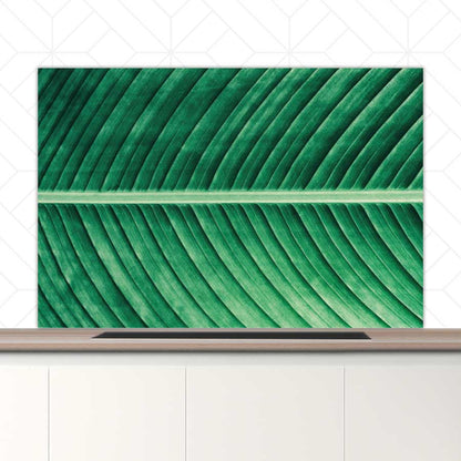 Spatscherm - Groen blad