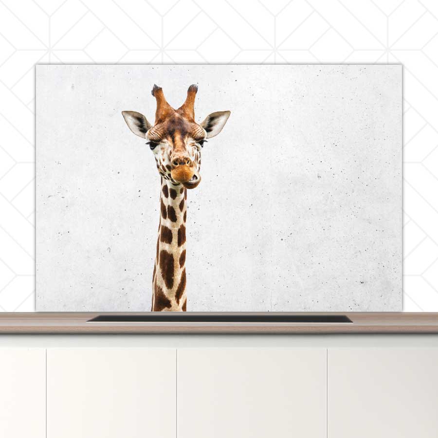 Spatscherm - Funny giraf beton