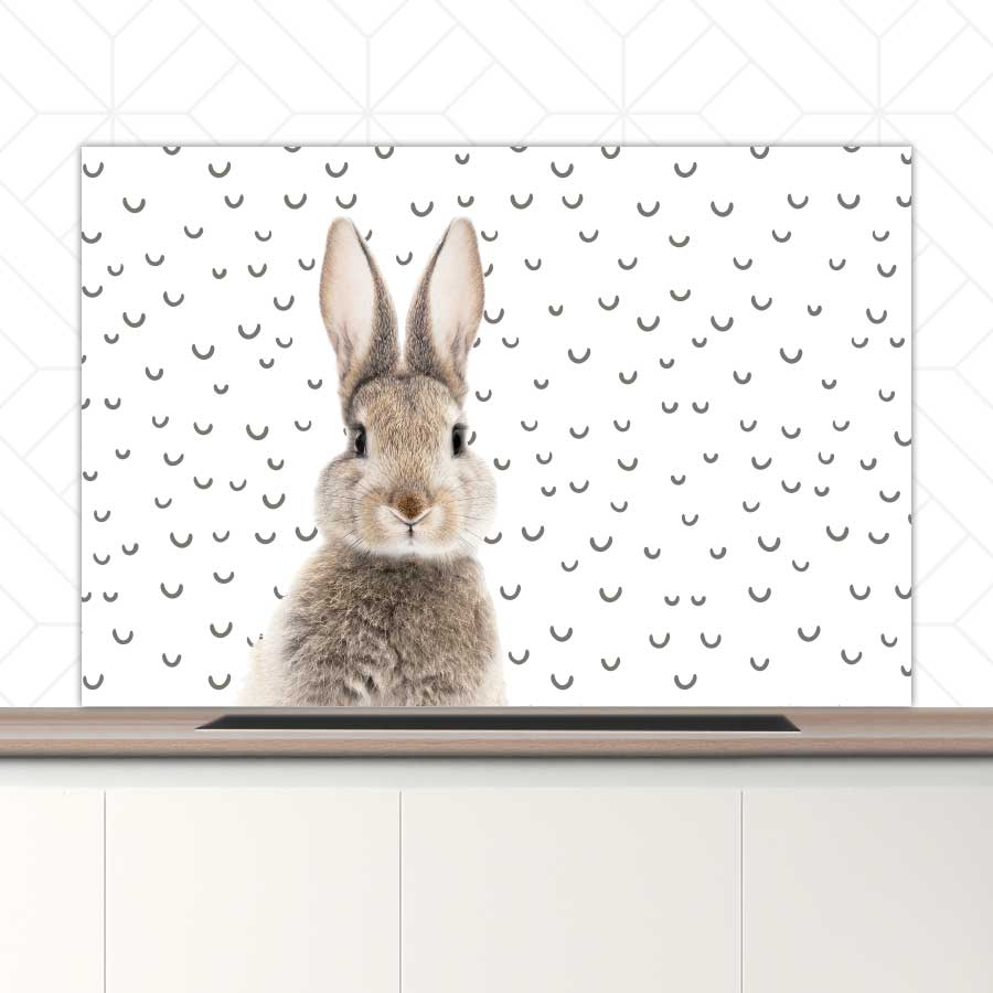 Spatscherm - Funny konijn fugler