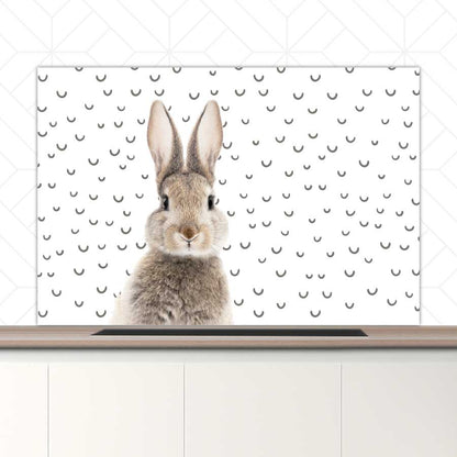 Spatscherm - Funny konijn fugler