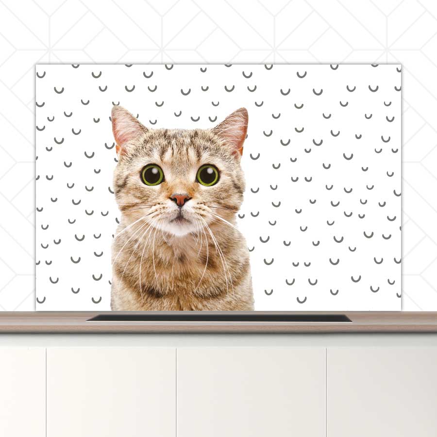 Spatscherm - Funny kat fugler