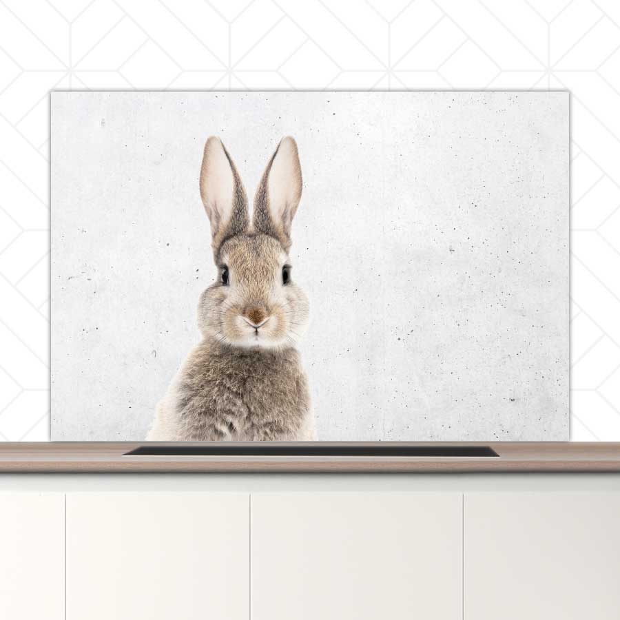 Spatscherm - Funny konijn beton