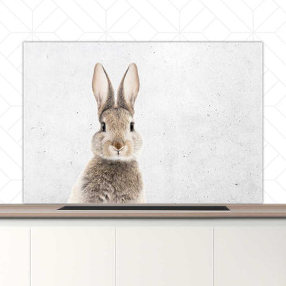 Spatscherm - Funny konijn beton