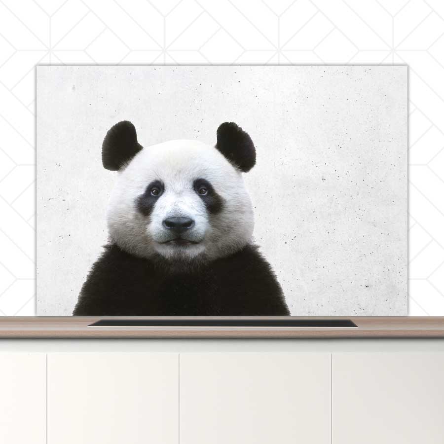 Spatscherm - Funny panda beton