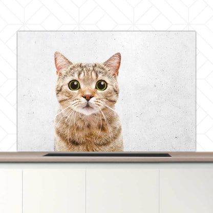 Spatscherm - Funny kat beton
