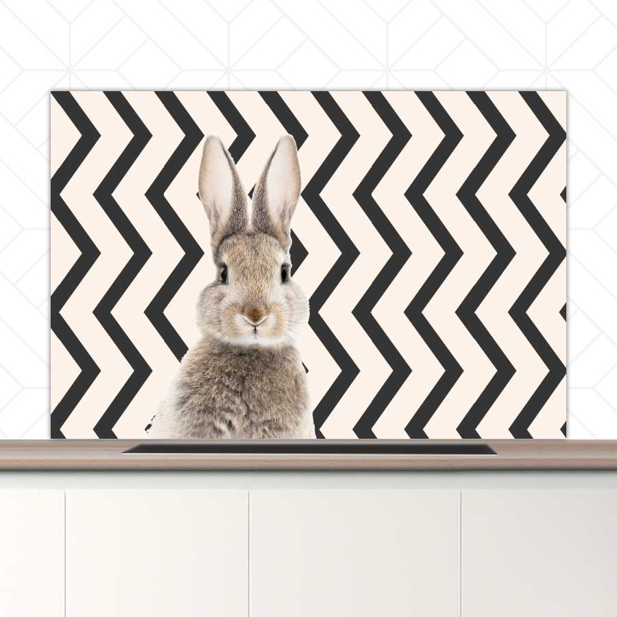 Spatscherm - Funny konijn zigzag