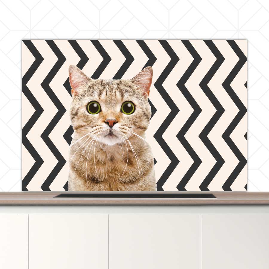 Spatscherm - Funny kat zigzag