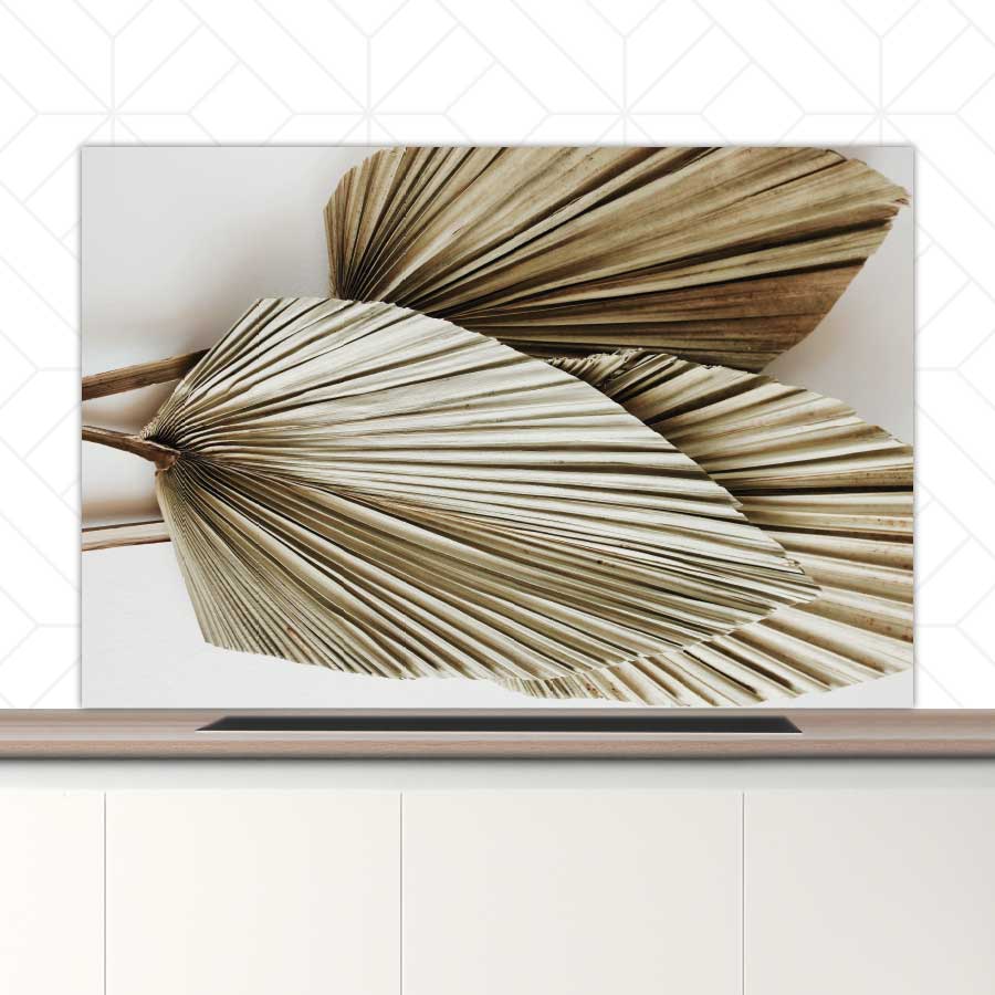 Spatscherm - Gedroogde palmbladeren