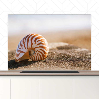 Spatscherm - Zeeschelp