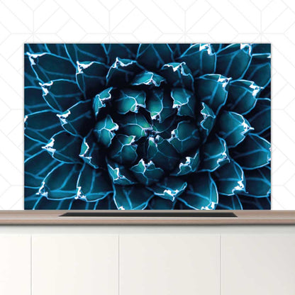 Spatscherm - Blauwe agave