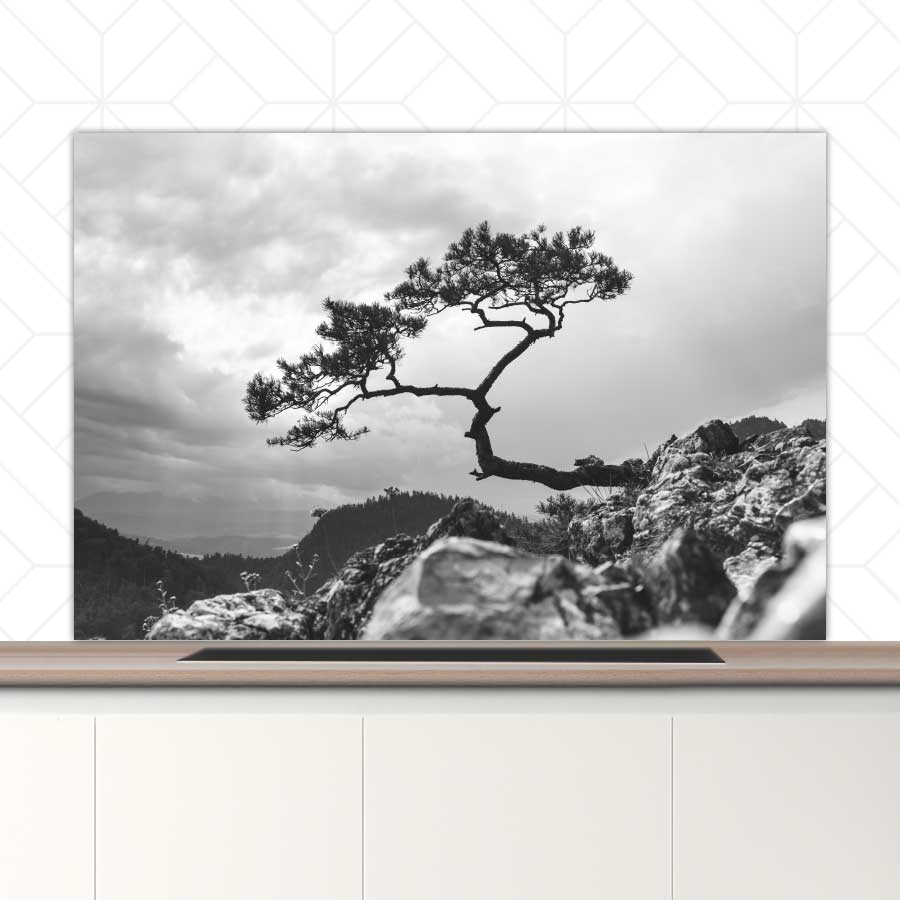 Spatscherm - Overhangende boom