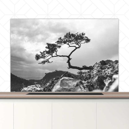 Spatscherm - Overhangende boom