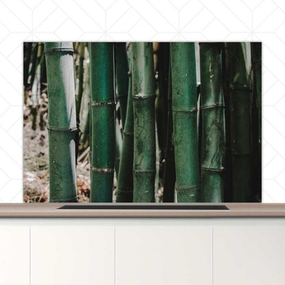 Spatscherm - Groene Bamboe