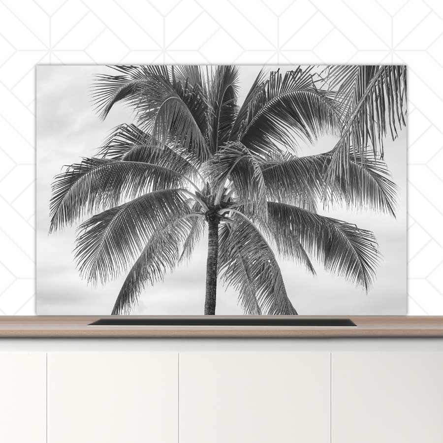 Spatscherm - Palmboom